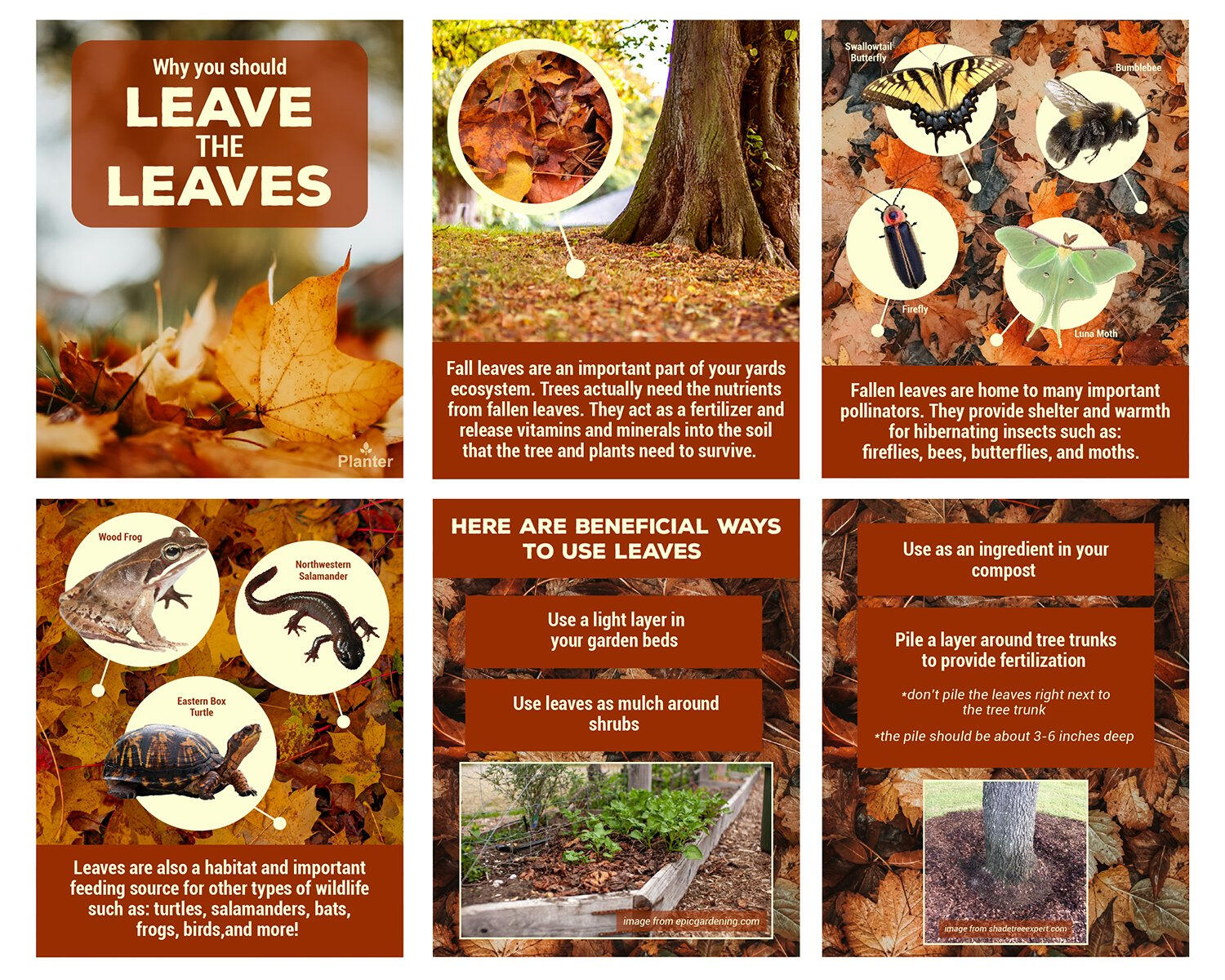 Leave the Leaves Social Media Post for Planter